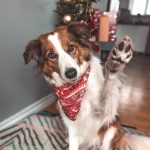 Ugly Sweater Bandana - Image 4