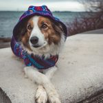 Big Sky Fleece Jacket - Image 4