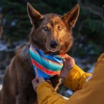 Vaquero Bandana - Image 2