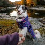 Big Sky Fleece Jacket - Image 5